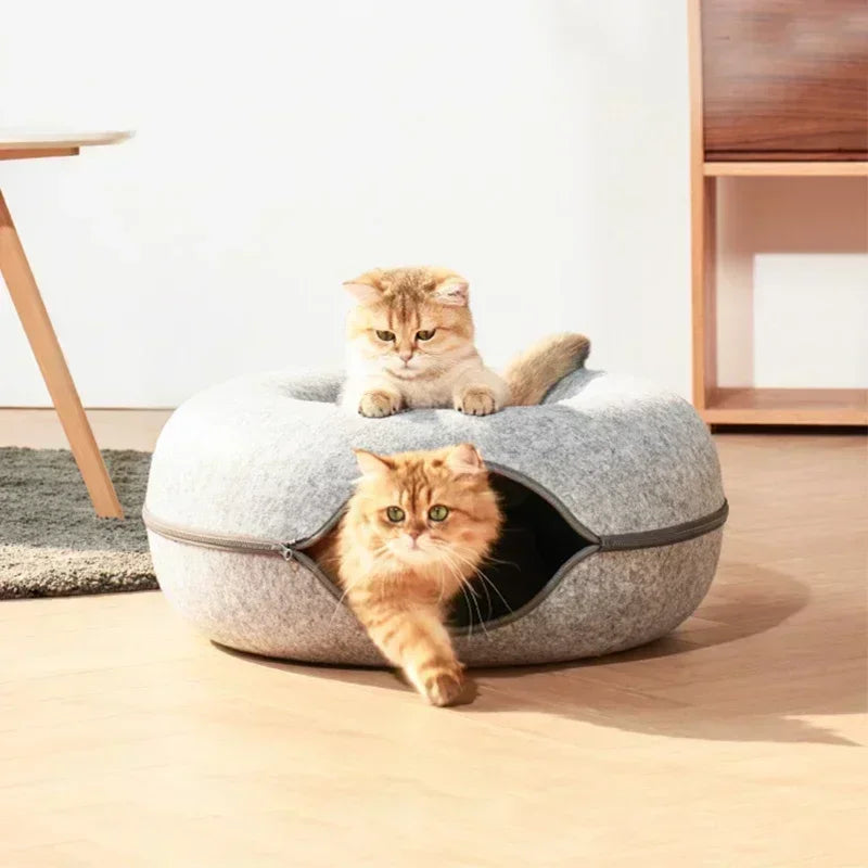 Cama de gato fofa e brinquedo de túnel