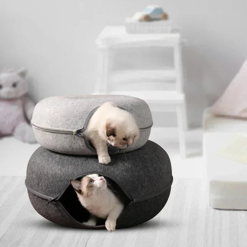Cama de gato fofa e brinquedo de túnel