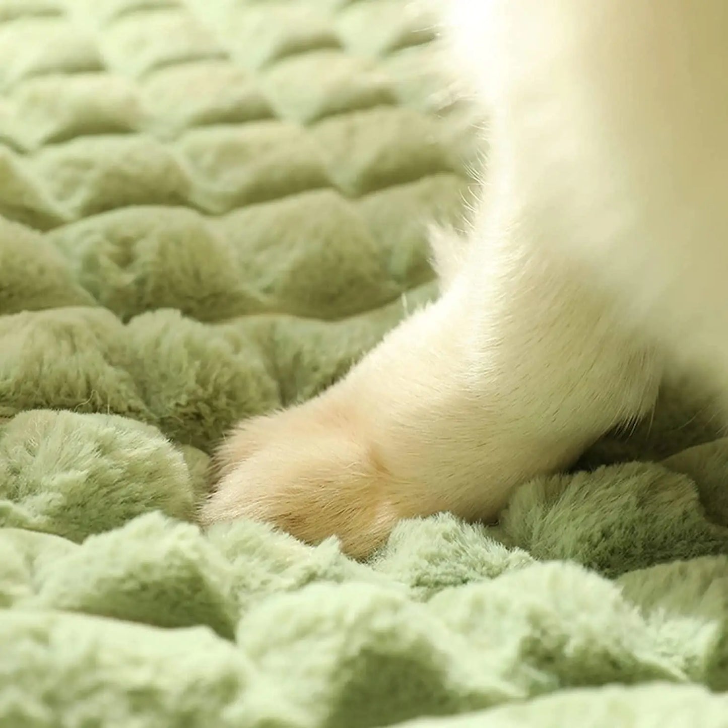 Sono Profundo - Cama para Animais de Estimação