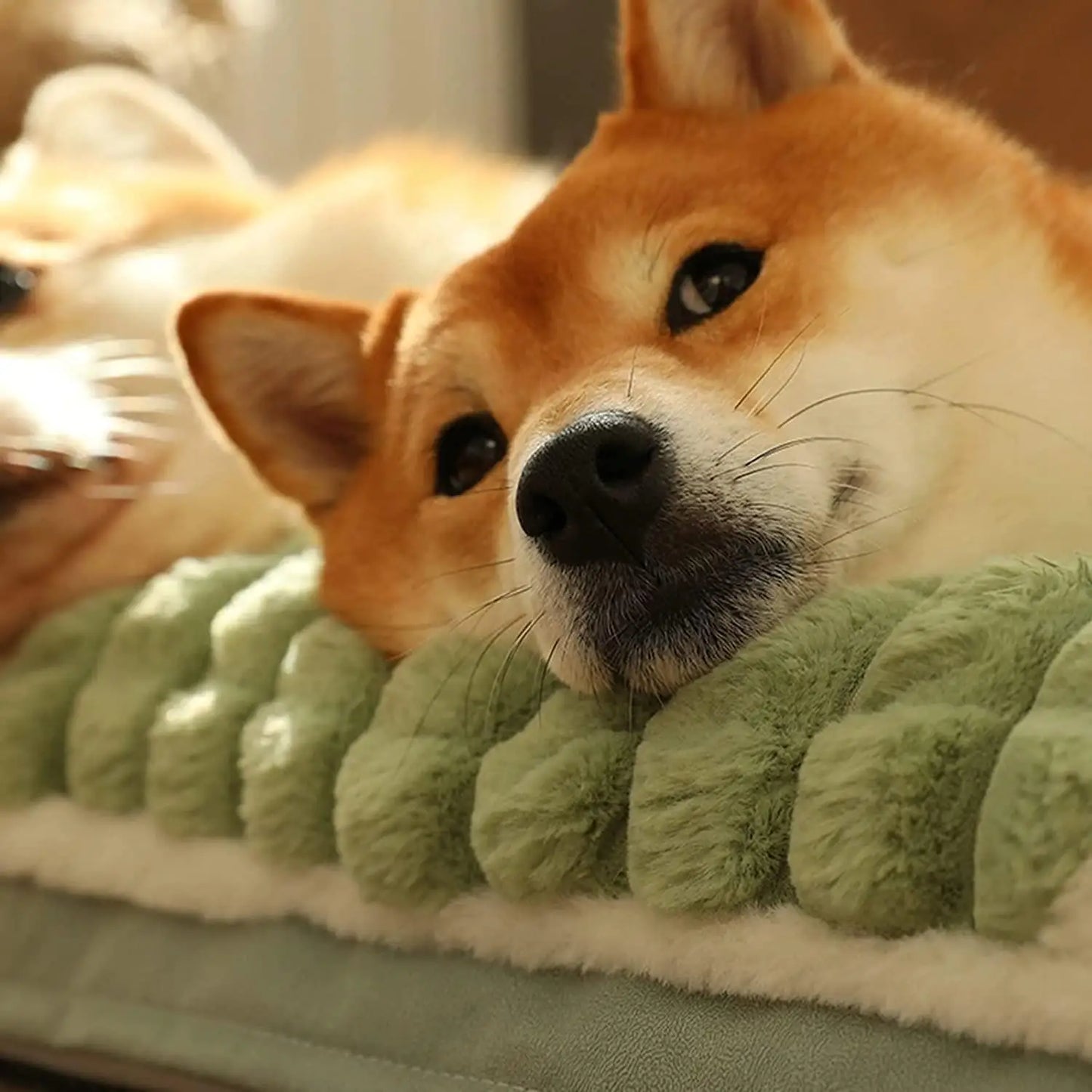 Sono Profundo - Cama para Animais de Estimação
