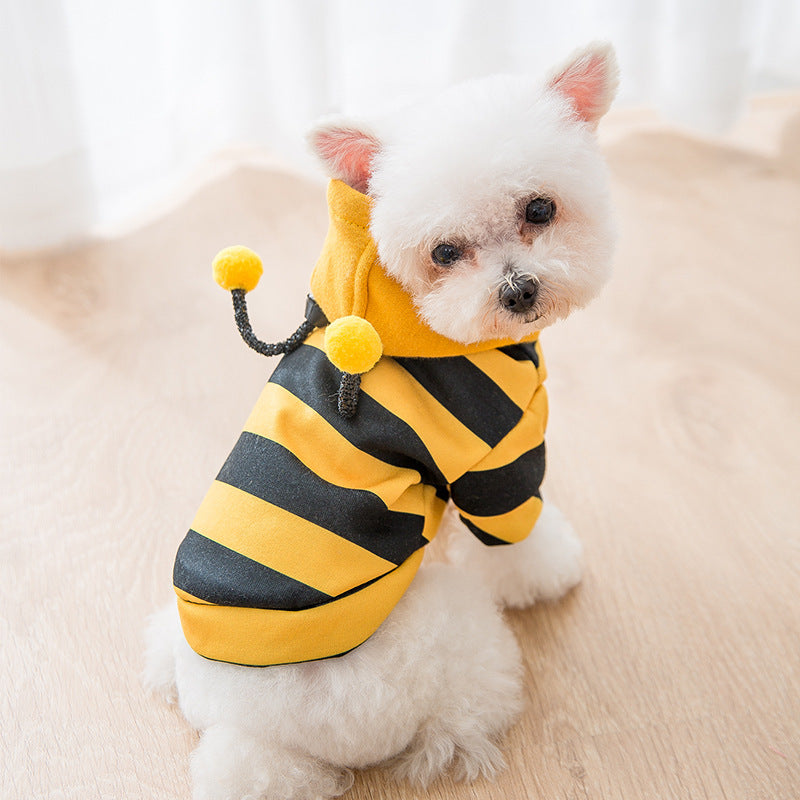 Bees Sweater for Small Dogs & Cats