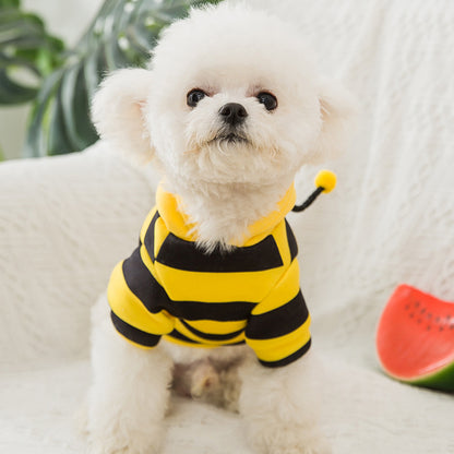 Bees Sweater for Small Dogs & Cats