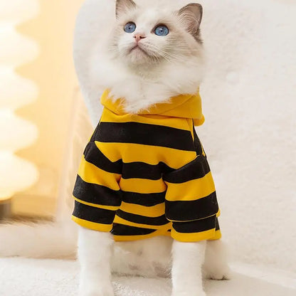 Bees Sweater for Small Dogs & Cats