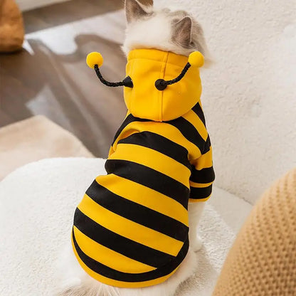 Bees Sweater for Small Dogs & Cats