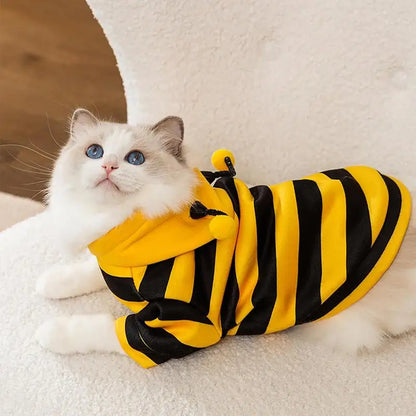 Bees Sweater for Small Dogs & Cats