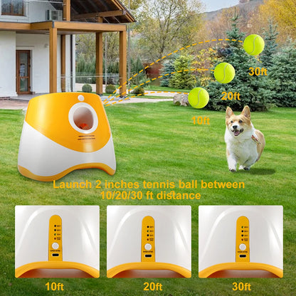 Automatic Tennis Ball Launcher for Dogs - 3 Distance Settings + 3 Balls