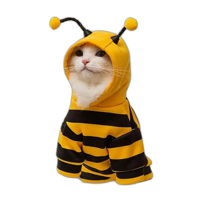 Bees Sweater for Small Dogs & Cats