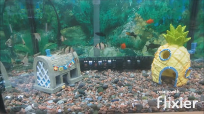 Ornamental cartoon figures for Aquarium
